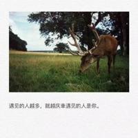 写给儿子，降生就是幸福