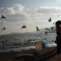 给爱人一份宽容，给情敌一个台阶