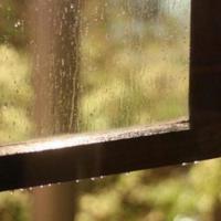 自己选择的路,爬着,也要坚持走完。