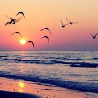 假如我爱上了你