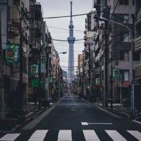 踩死一只蟑螂的后果