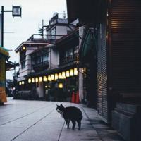 勇敢的代价,是自己先放下。