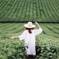 须臾而生动的事物,酒杯吹动葡萄的灯盏(组诗)