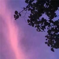 黑段子-列车之书里书外