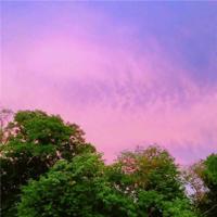 母亲与茶叶鸡蛋