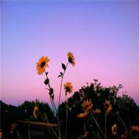 忠诚生活的日子