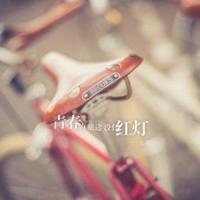 描写猫的片段摘抄