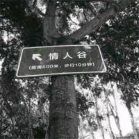 一场落雨,纷飞了思绪