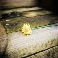 追梦人唯美意境伤感文字图片_给我一个理由忘记