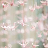 lomo风格唯美鲜花伤感图片_我的悲伤谁人懂