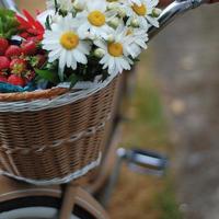 人生那么短，做人就要酷一点。