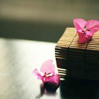 郭敬明的经典语录 最好的事情就是经常和你在一起.