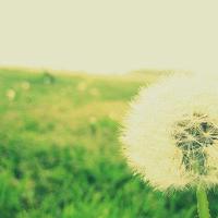 你爱的男人心里有没有你 这些细节是不会骗人