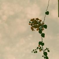 好好学习带文字图片