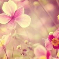 把你关进衣柜里