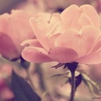 当你的世界出现沙漠