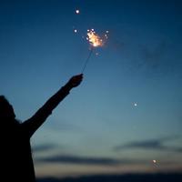 征服沙漠钢刺的吉拉啄木鸟