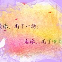 生活中的唯美意境小物件素材_唯美小物件