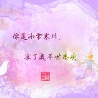 你有看见我的腿吗