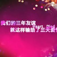 手指的温度唯美图片_用心去感受手的温度