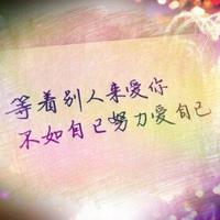 头七出现的狗