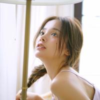 枯林的溃叶