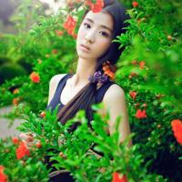 我们爱情婚姻只是合作