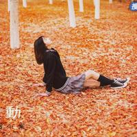 同居男女必看:同居不等于婚姻对婚姻好处也不大