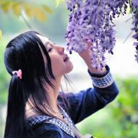 你诺安好、便是晴天!