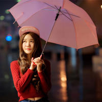 千万里爱的追寻