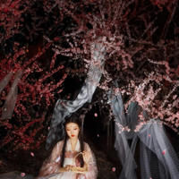 不要啊快拔出去小说 寂寞少妇与情人的激情性爱故事