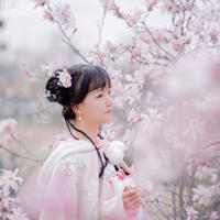 一脉情思,人生若只如初见
