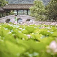 喜欢上已婚少妇:永远忘不了那个叫我傻男人的成熟少妇