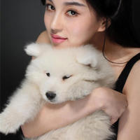 执笔为念,落笔生情