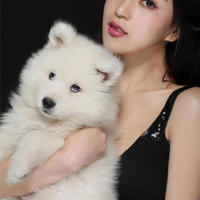 纯禽名门婚宠 闪婚老公不靠谱 豪门闪婚之霸占新妻