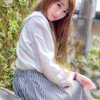 枯叶蝶