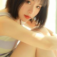 木棉花又开一春