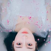 小秘和上司爱爱爱小说 大牌上司小秘惹不起 小秘沟上司的短语