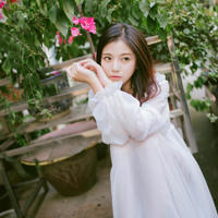 胡歌演的我的26岁女房客有几集?