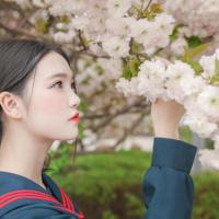 《梦里梦着梦不醒的梦》