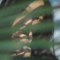 小故事大智慧:平庸把自己当看客