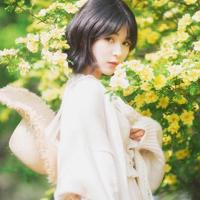 青苹果岁月