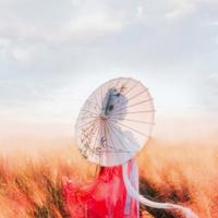 女白领口述:性爱高潮的真实感受,一夜高潮几次