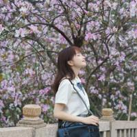 乱伦之兄妹乱情 极品风骚好妹妹在我胯下大叫不要停