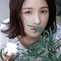 黄金屯迷案_侦探故事