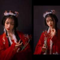 另类帝王治贪官_历史故事