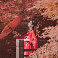 若心已伤,何必伤心