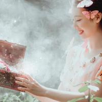 中国人民抗日战争胜利70周年