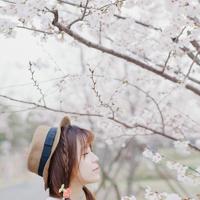 尼坤宋茜最新消息 尼坤为什么强吻宋茜?尼坤强吻宋茜的爆料