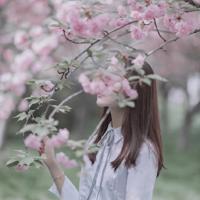 扯烂网袜按在桌上干 把秘书按到桌上干 把校花抱起来干